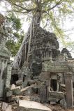 Ta_Prohm_2016_03_10_066.jpg