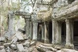 Ta_Prohm_2016_03_10_070.jpg