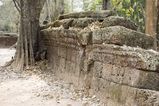 Ta_Prohm_2016_03_10_073.jpg