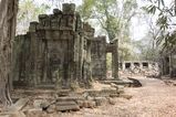 Ta_Prohm_2016_03_10_082.jpg
