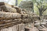 Ta_Prohm_2016_03_10_083.jpg