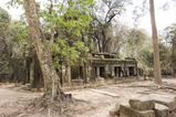 Filename=Ta_Prohm_2016_03_10_087.jpg
Filesize=15595KiB
Dimensions=2047x1365
Date added=Nov 13, 2016 Ta_Prohm_2016_03_10_087.jpg