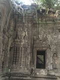 Ta_Prohm_2016_03_10_097.JPG
