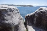 Sydney_2016_02_08_020.jpg