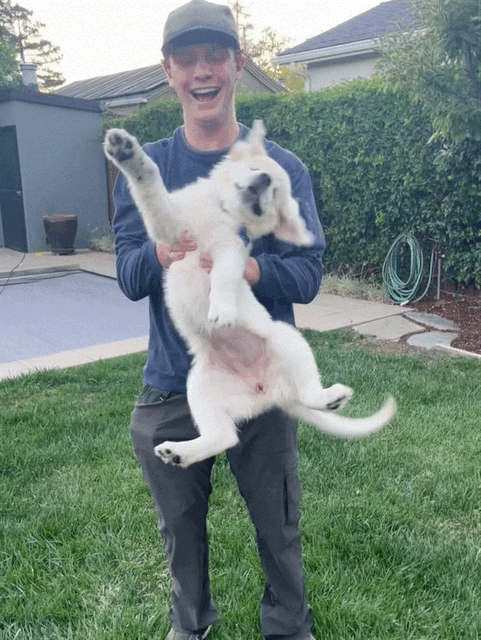 wriggle, wriggle!  [11 weeks old]
