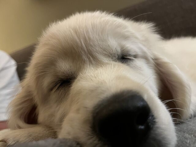 [10 weeks old]
