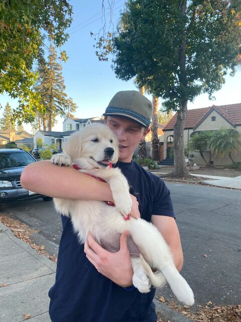 [10 weeks old]
