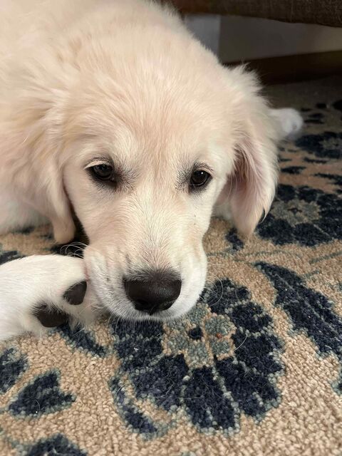 [14 weeks old]
