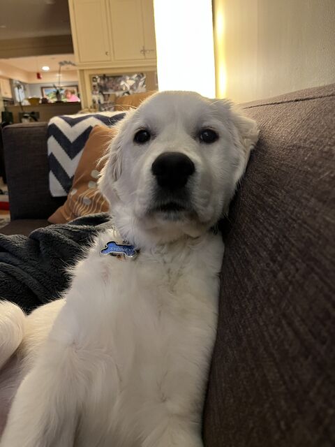 [18 weeks old]
