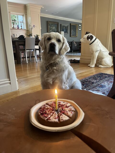 2 years old!
