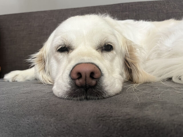 almost 3 years old!
