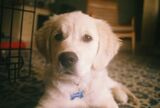 Sydney_2023_06_19_001.jpeg