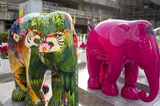 Thailand_2015_12_03_132.jpg