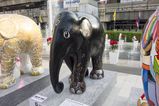 Thailand_2015_12_03_118.jpg