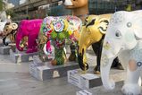 Filename=Thailand_2015_12_03_121.jpg
Filesize=11780KiB
Dimensions=2047x1365
Date added=Nov 13, 2016 Thailand_2015_12_03_121.jpg