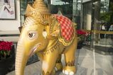 Thailand_2015_12_03_133.jpg