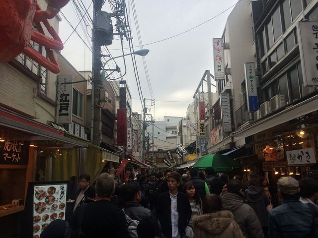 Tokyo_2016_03_26_030.JPG