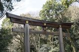 Tokyo_2016_03_27_005.jpg