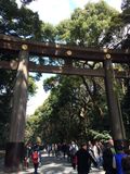 Tokyo_2016_03_27_051.JPG