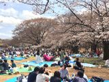 Tokyo_2016_03_27_094.JPG