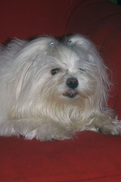 family_2004_11_12_017.jpg