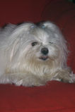 family_2004_11_12_017.jpg