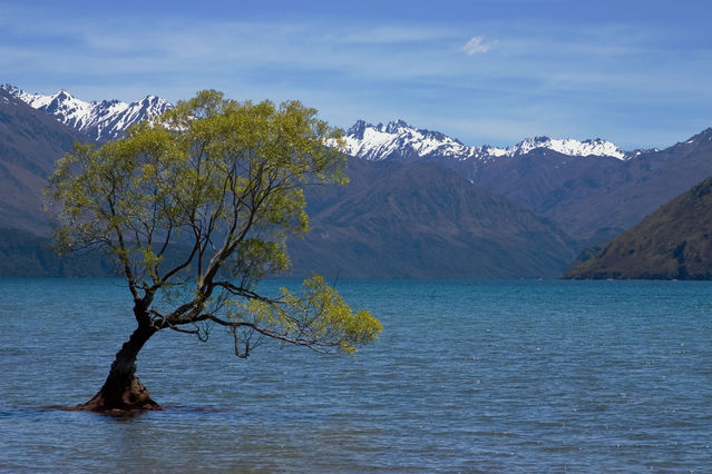 NZ_2004_12_26_059_modified.jpg