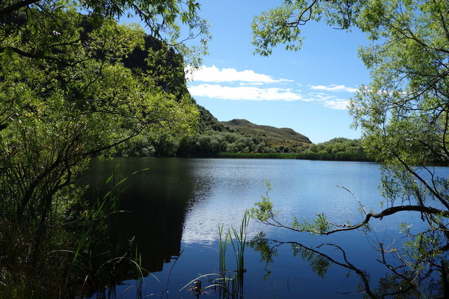 NZ_Xmas_2013_12_27_001.JPG