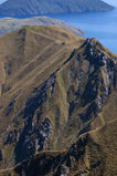 NZ_2005_01_01_021_modified.jpg