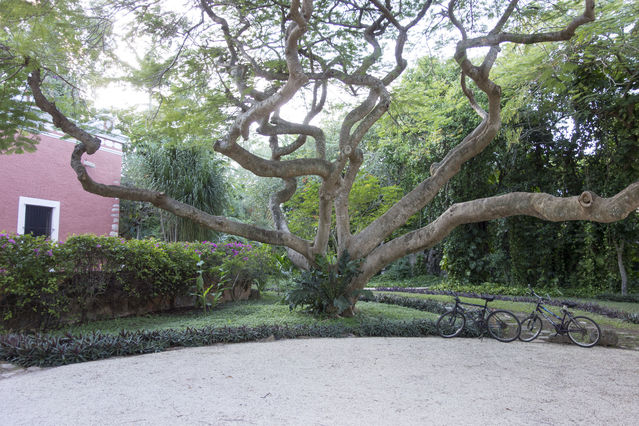 Hacienda_Petac_2017_12_30_017.jpg