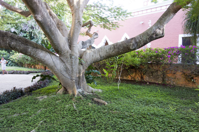 Hacienda_Petac_2017_12_30_061.jpg
