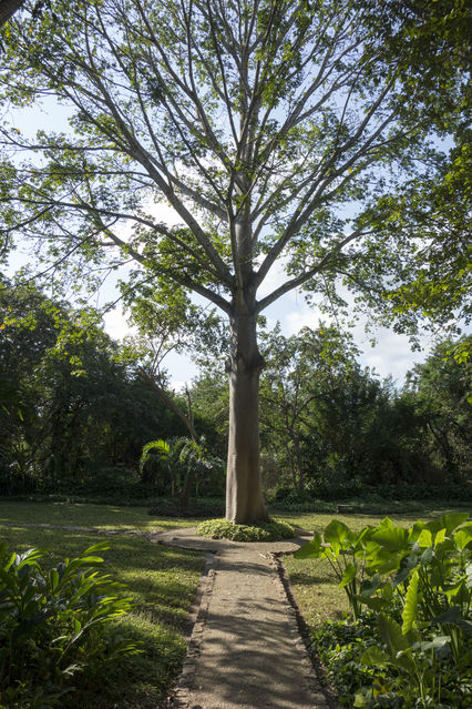 Hacienda_Petac_2018_01_03_013.jpg