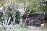 Filename=Hacienda_Petac_2017_12_30_010.jpg
Filesize=16296KiB
Dimensions=2047x1365
Date added=Mar 04, 2018 Hacienda_Petac_2017_12_30_010.jpg
