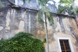 Filename=Hacienda_Petac_2017_12_30_037.jpg
Filesize=13519KiB
Dimensions=2047x1365
Date added=Mar 04, 2018 Hacienda_Petac_2017_12_30_037.jpg