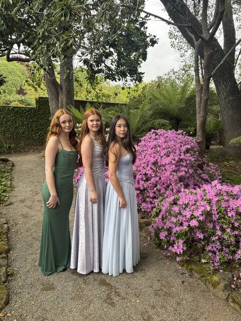 ready for the senior prom (Spring 2025)
