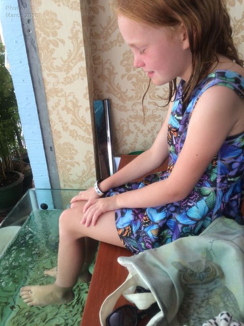 fish pedicure in Patong, Phuket
