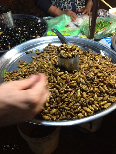 fine dininig in Siem Reap (silkworm larvae)
