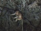 Phuket_2016_03_20_037.jpg