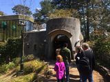Tokyo_2016_03_25_092.jpg