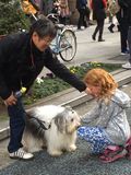 Tokyo_2016_03_27_062.jpg